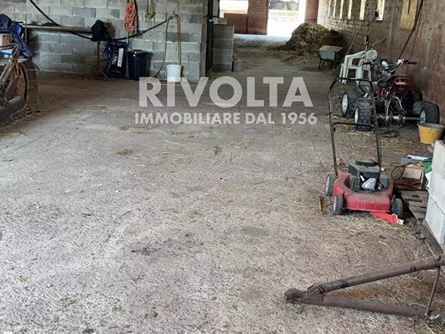 Immagine 7 di Terreno agricolo in affitto  a Collevecchio