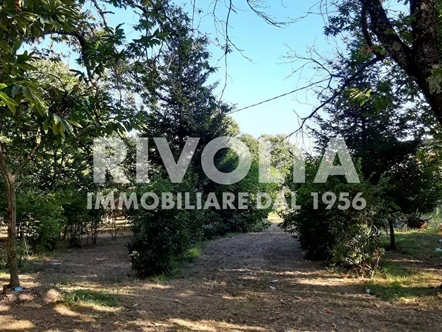 Immagine 2 di Villa in vendita  in Via Madonna Delle Grazie snc a Bassano In Teverina