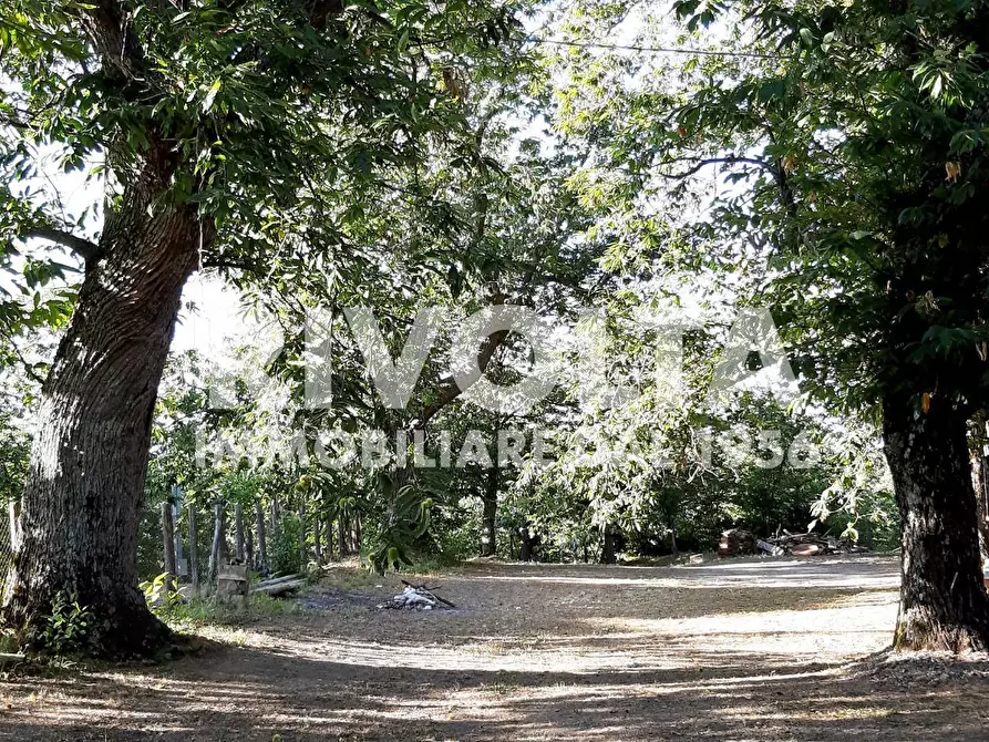 Immagine 7 di Villa in vendita  in Via Madonna Delle Grazie snc a Bassano In Teverina