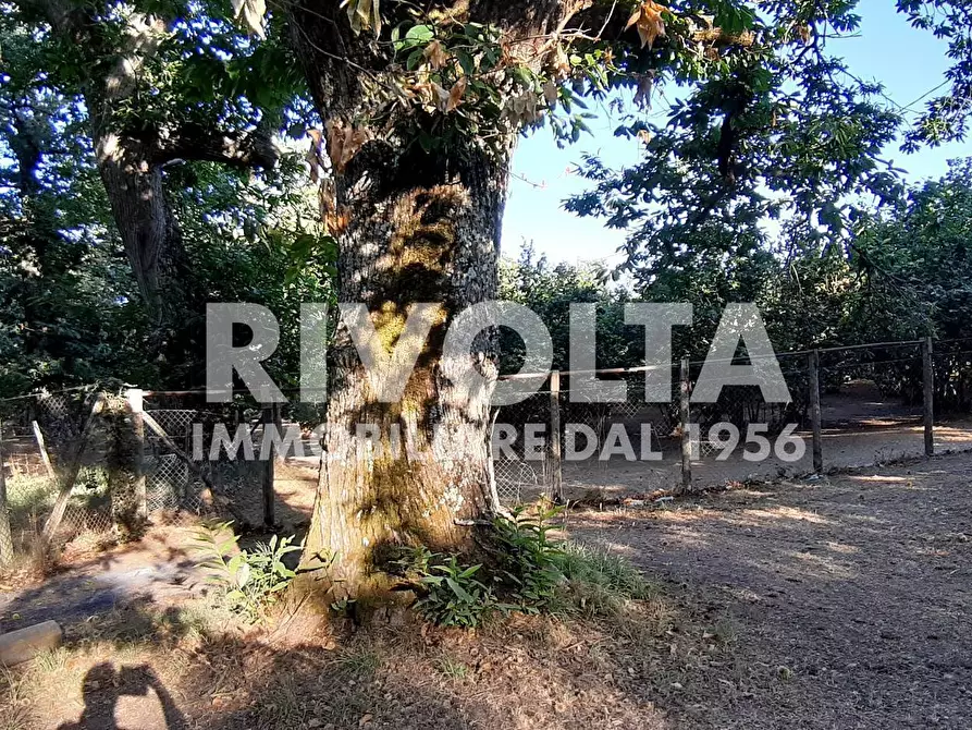 Immagine 6 di Villa in vendita  in Via Madonna Delle Grazie snc a Bassano In Teverina