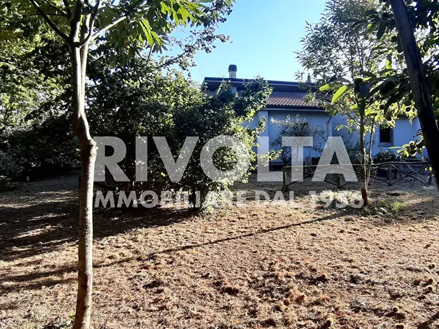 Immagine 12 di Villa in vendita  in Via Madonna Delle Grazie snc a Bassano In Teverina