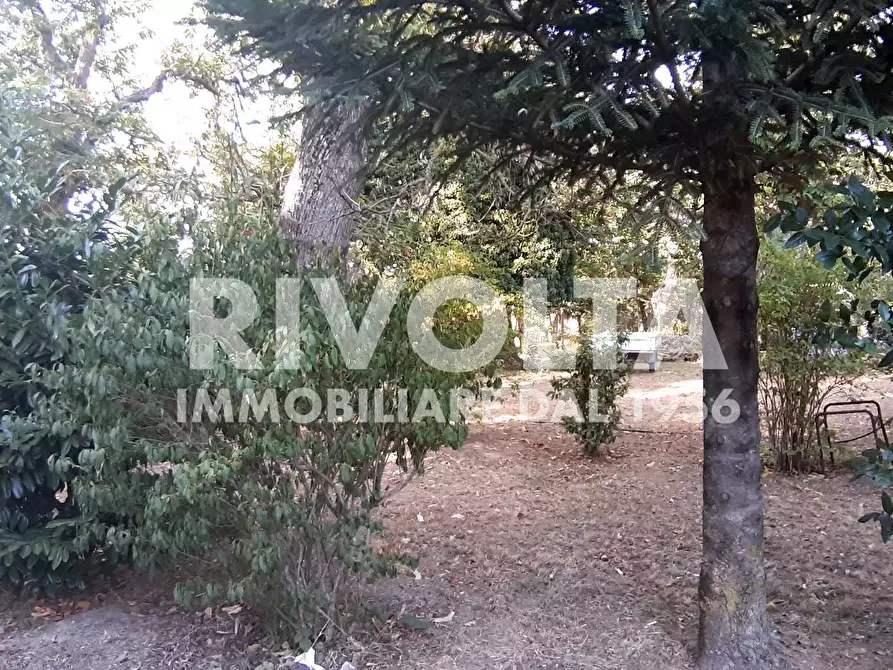 Immagine 15 di Villa in vendita  in Via Madonna Delle Grazie snc a Bassano In Teverina