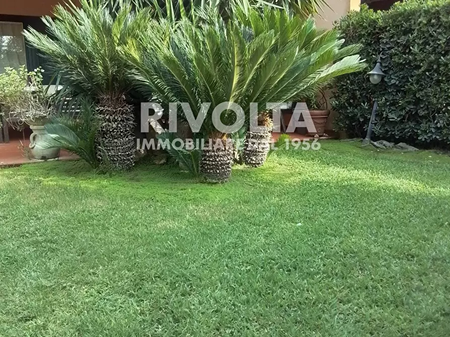 Immagine 3 di Villetta a schiera in vendita  in località le  Gratticciare a Montalto Di Castro