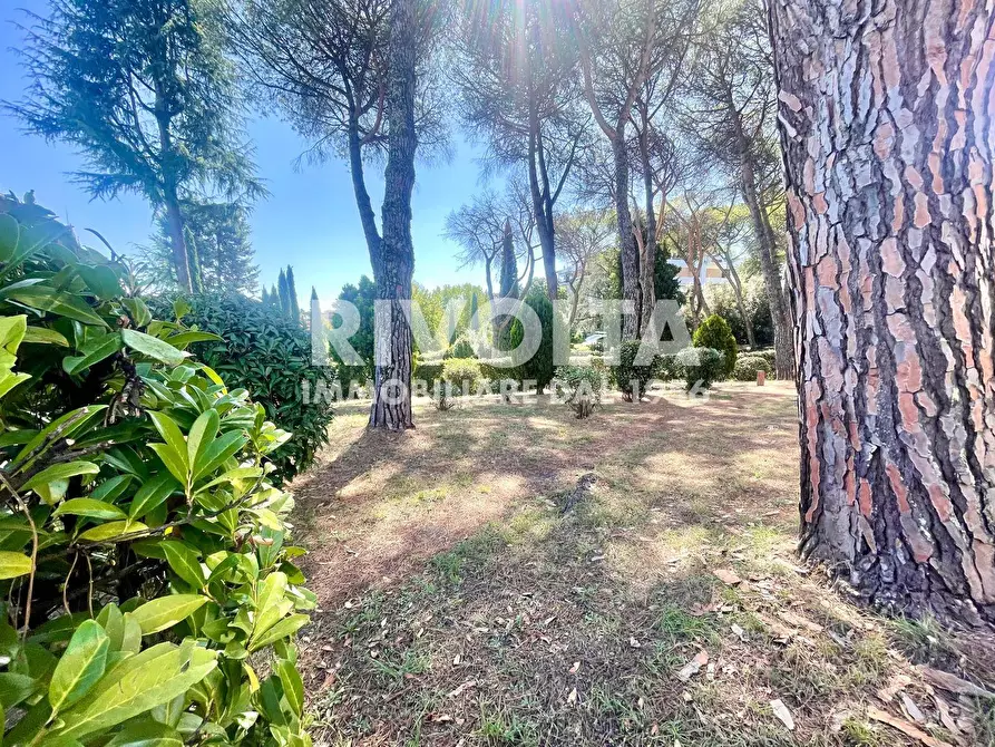 Immagine 12 di Appartamento in vendita  in Via Al Sesto Miglio a Roma