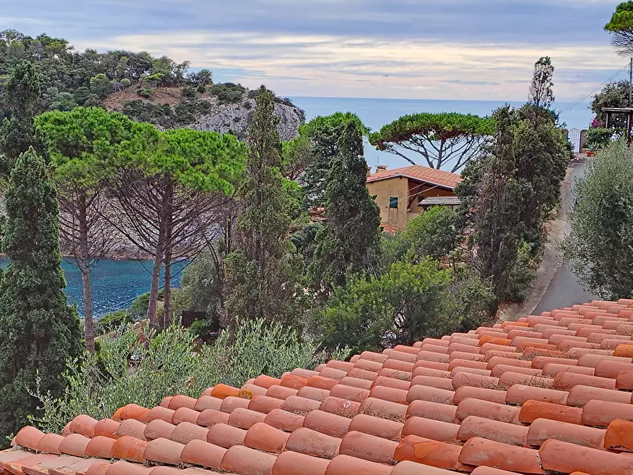 Immagine 23 di Appartamento in vendita  in CALAPICCOLA a Monte Argentario