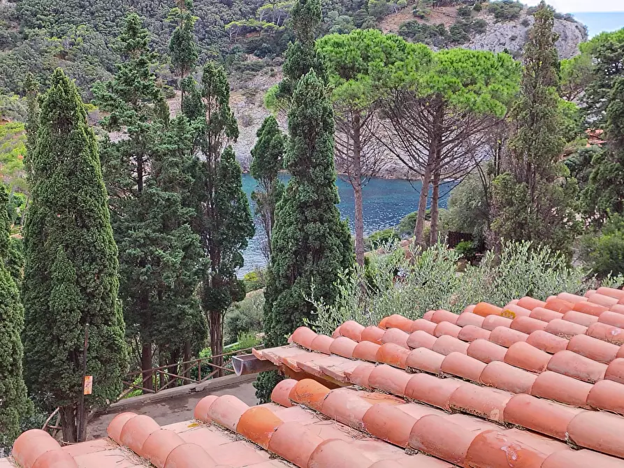 Immagine 24 di Appartamento in vendita  in CALAPICCOLA a Monte Argentario