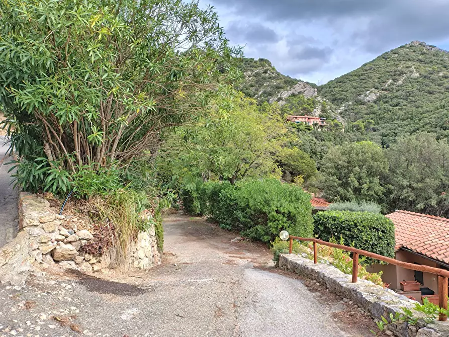 Immagine 40 di Appartamento in vendita  in CALAPICCOLA a Monte Argentario