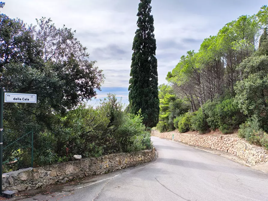 Immagine 46 di Appartamento in vendita  in CALAPICCOLA a Monte Argentario