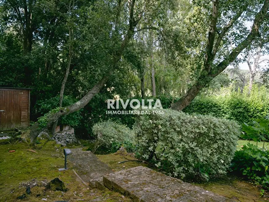 Immagine 6 di Villa in vendita  in LOCALITà LE PIANE a Monte Argentario