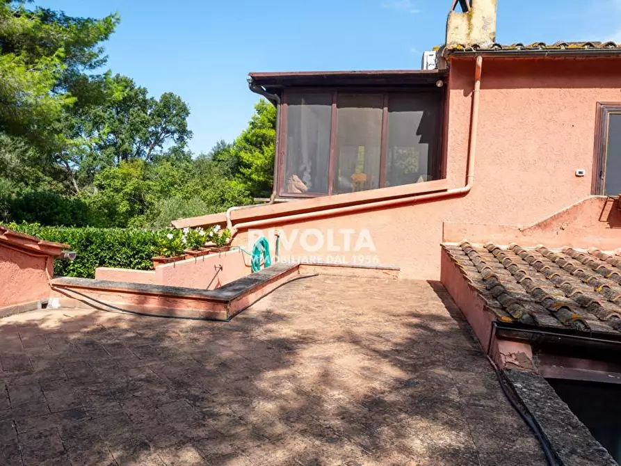 Immagine 15 di Villa in vendita  in LOCALITà LE PIANE a Monte Argentario