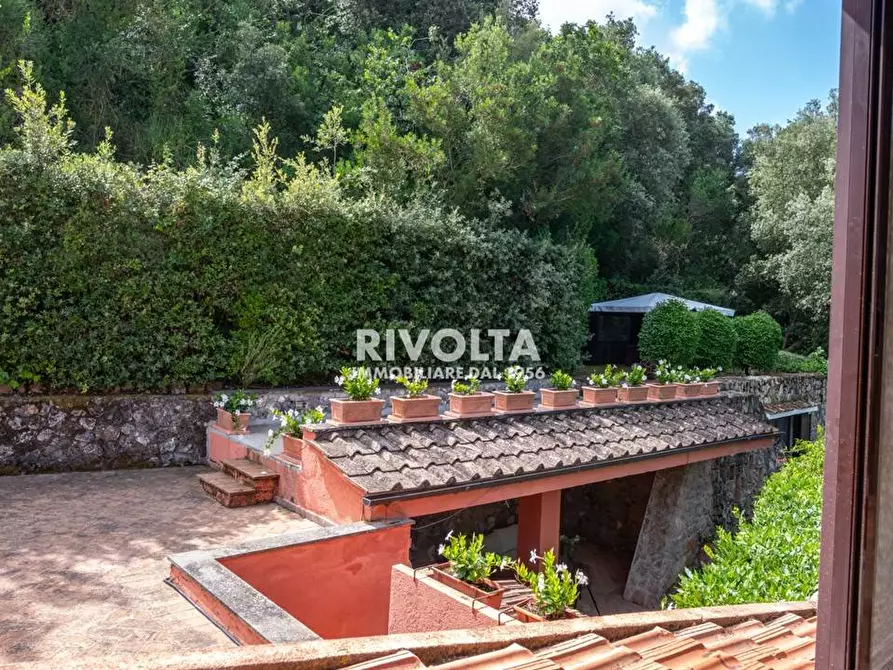 Immagine 40 di Villa in vendita  in LOCALITà LE PIANE a Monte Argentario