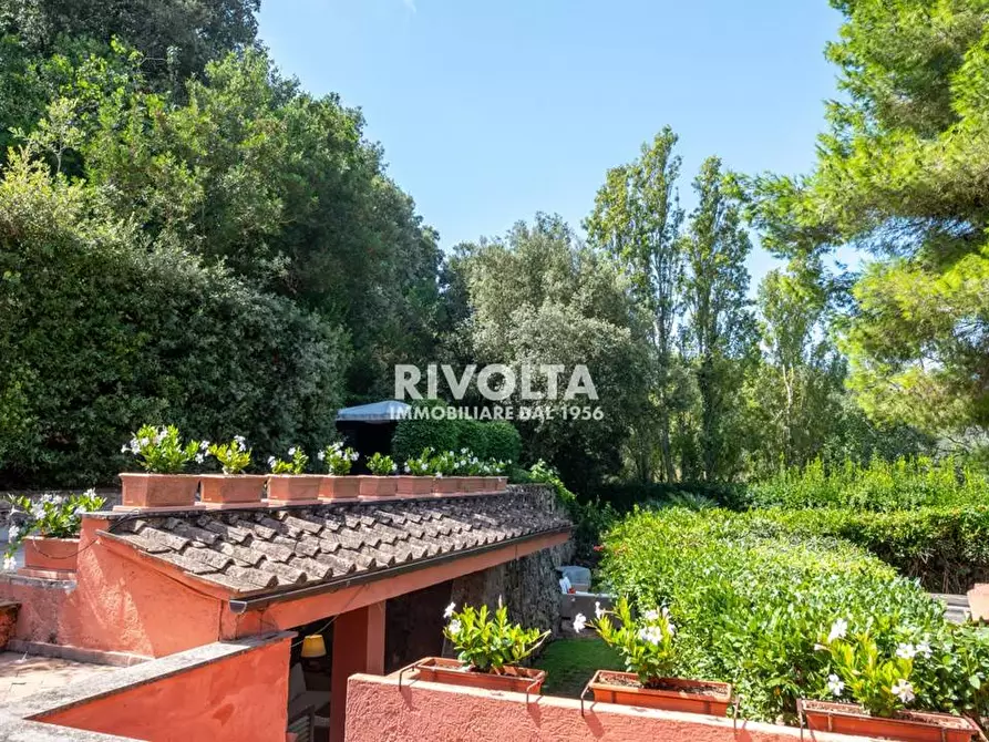 Immagine 58 di Villa in vendita  in LOCALITà LE PIANE a Monte Argentario