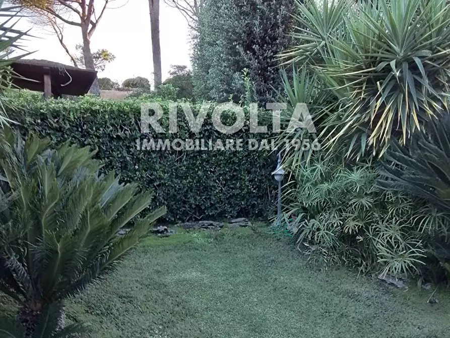 Immagine 15 di Villetta a schiera in vendita  in località le  Gratticciare a Montalto Di Castro