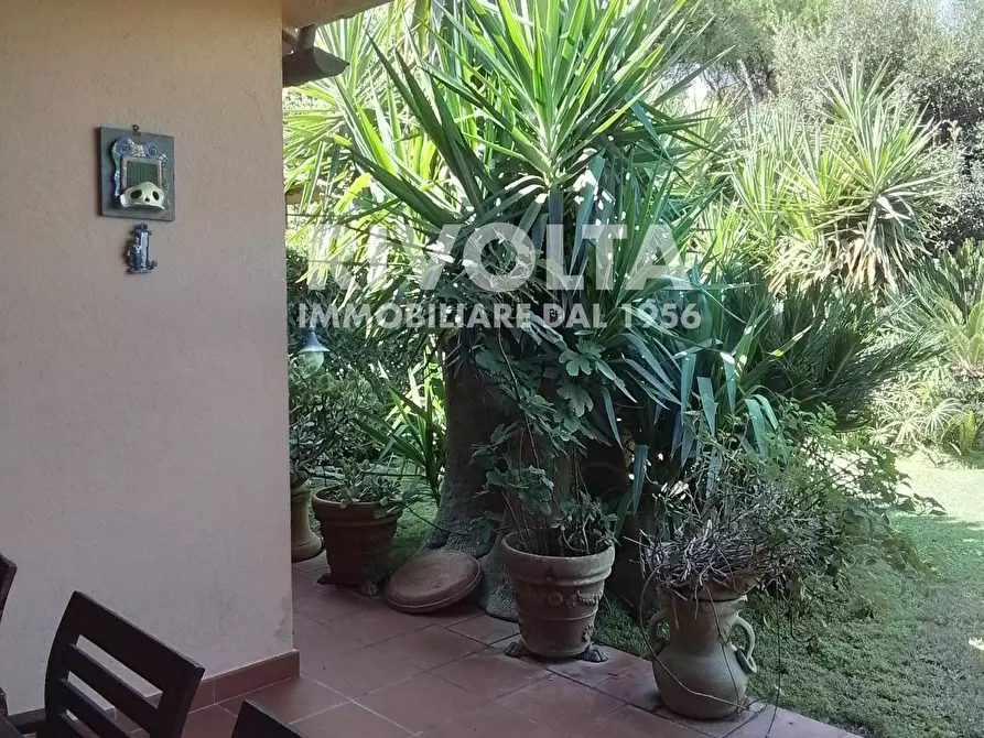 Immagine 11 di Villetta a schiera in vendita  in località le  Gratticciare a Montalto Di Castro