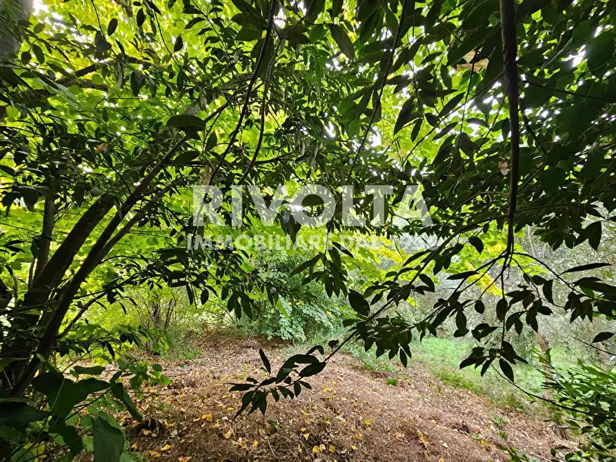 Immagine 27 di Villa in vendita  in strada di santa maria la rocca a Terni