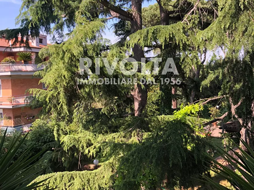 Immagine 52 di Appartamento in affitto  in Via Cassia a Roma