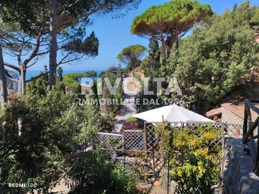 Immagine 24 di Appartamento in vendita  in Località cala piccola a Monte Argentario