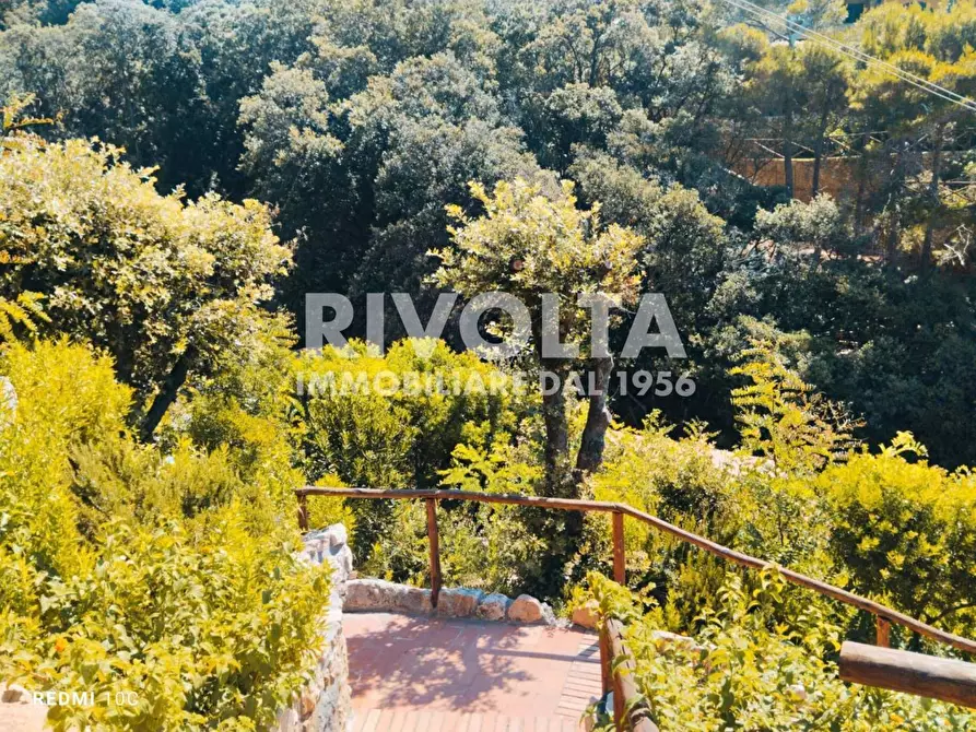 Immagine 34 di Appartamento in vendita  in Località cala piccola a Monte Argentario