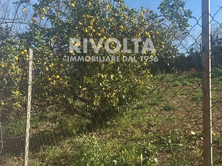 Immagine 49 di Appartamento in vendita  in Via Vittorio Spinazzola a Roma