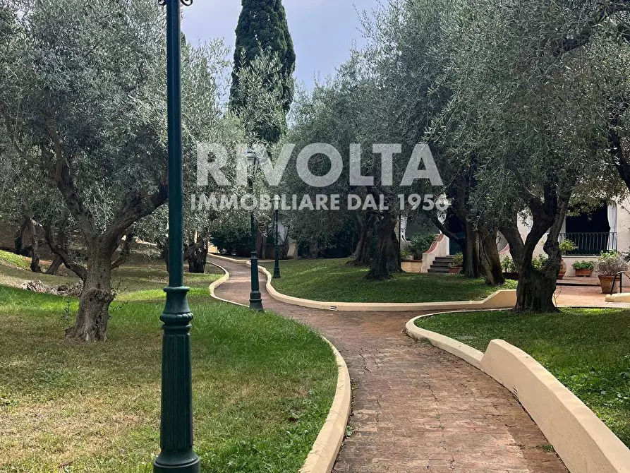 Immagine 3 di Villa in affitto  in via caravaggio a Monte Argentario