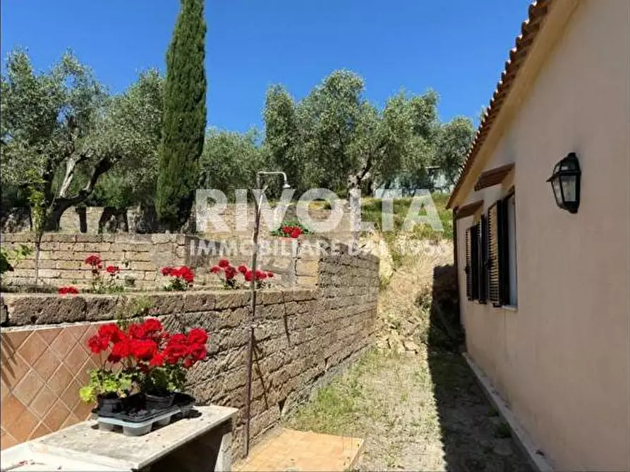 Immagine 16 di Appartamento in affitto  in strada mandrioli a Monte Argentario