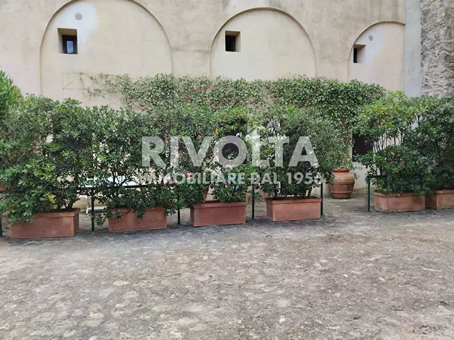 Immagine 14 di Appartamento in affitto  in scalinata la rocca a Monte Argentario