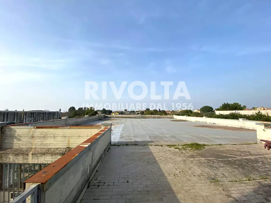Immagine 36 di Capannone industriale in vendita  in Via dei Piani di Monte Savello a Albano Laziale