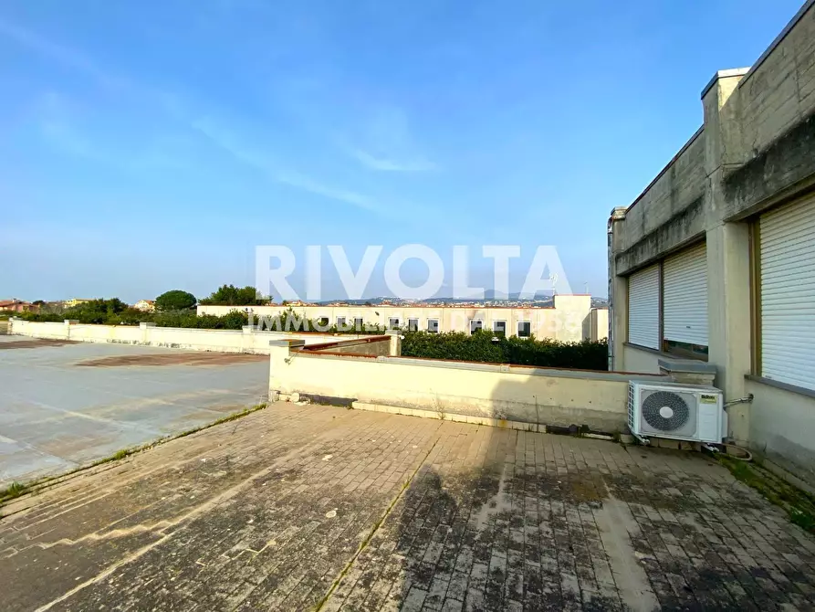 Immagine 37 di Capannone industriale in vendita  in Via dei Piani di Monte Savello a Albano Laziale