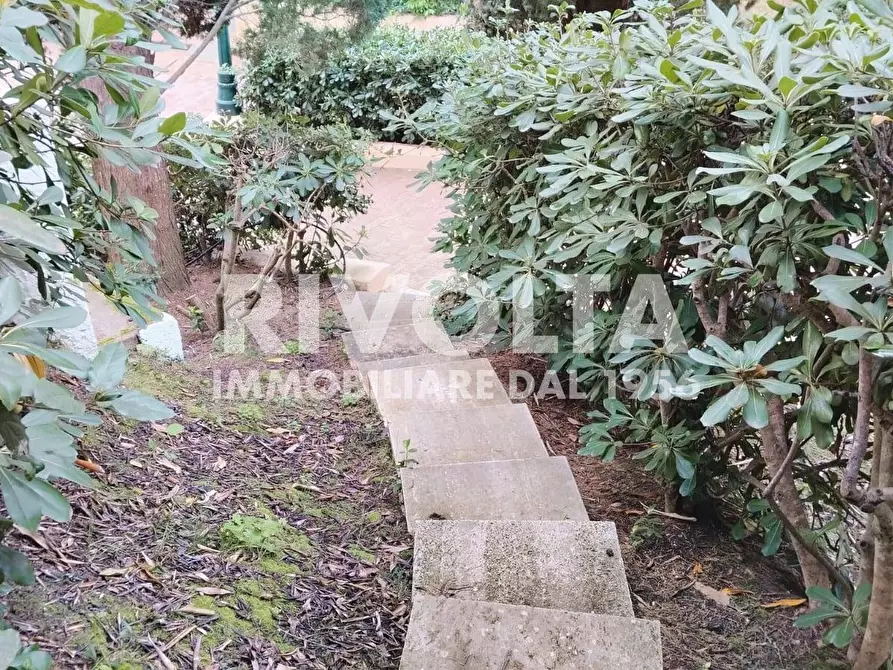 Immagine 11 di Appartamento in affitto  in viale caravaggio a Monte Argentario