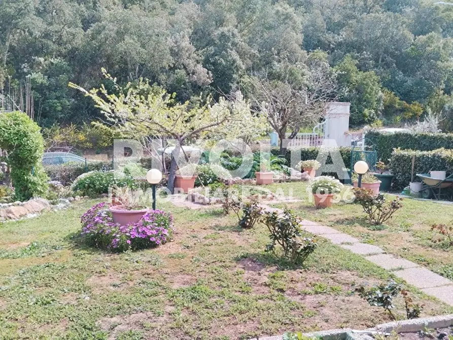 Immagine 13 di Appartamento in vendita  in via delle buche a Monte Argentario