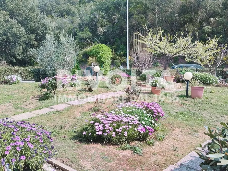 Immagine 15 di Appartamento in vendita  in via delle buche a Monte Argentario