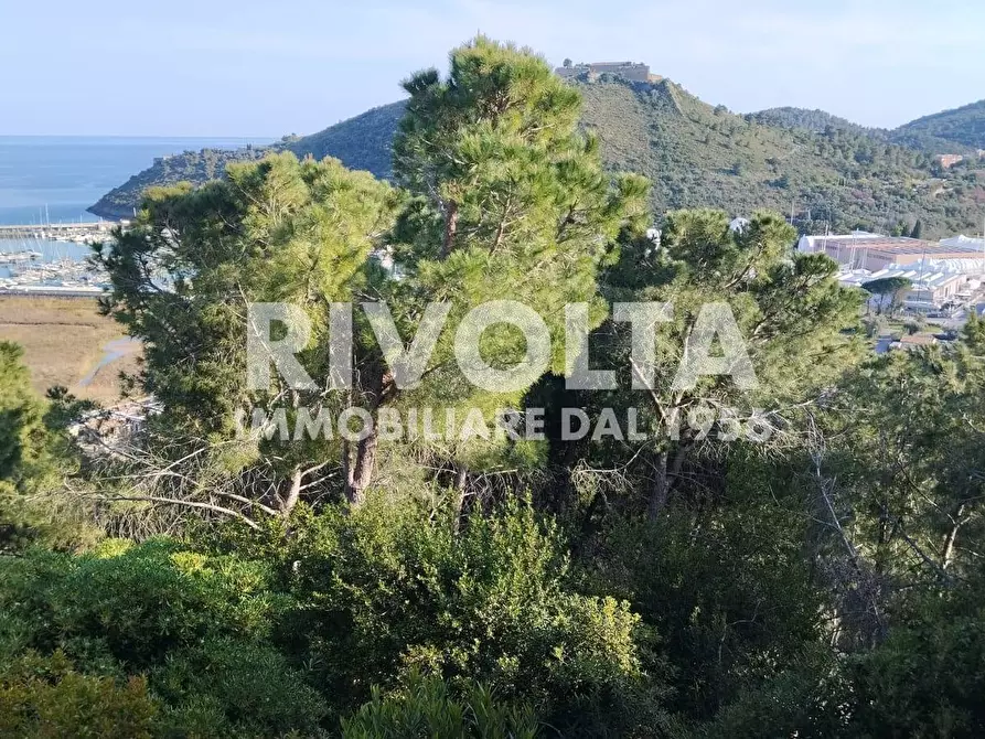 Immagine 43 di Appartamento in affitto  in località poggio pertuso a Monte Argentario