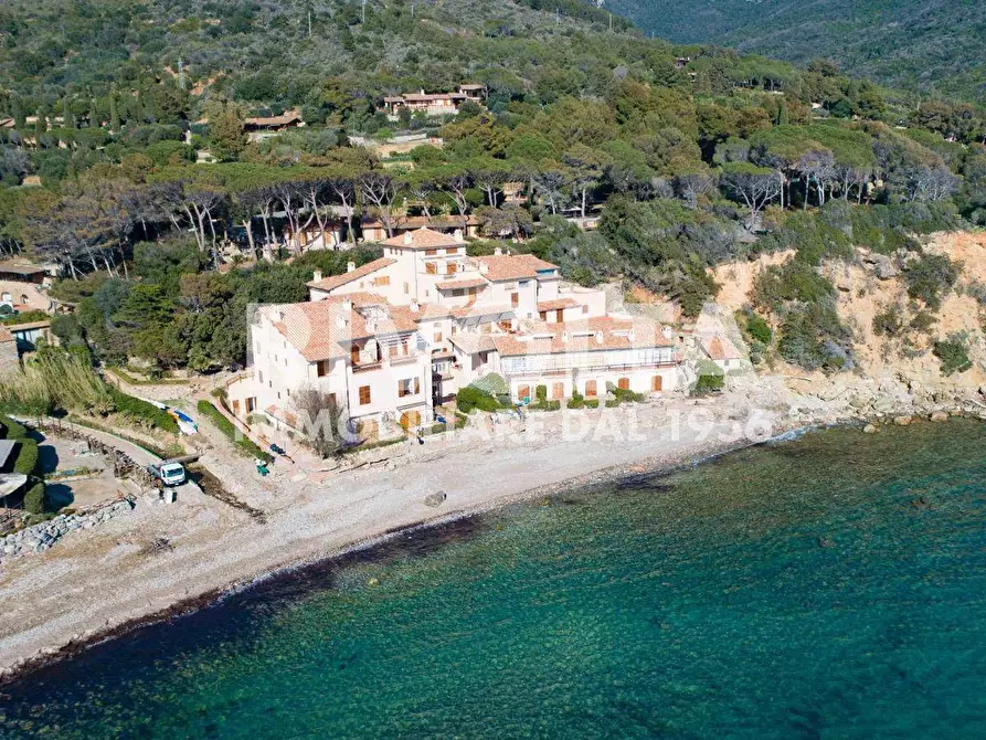 Immagine 2 di Appartamento in vendita  in località le cannelle a Monte Argentario