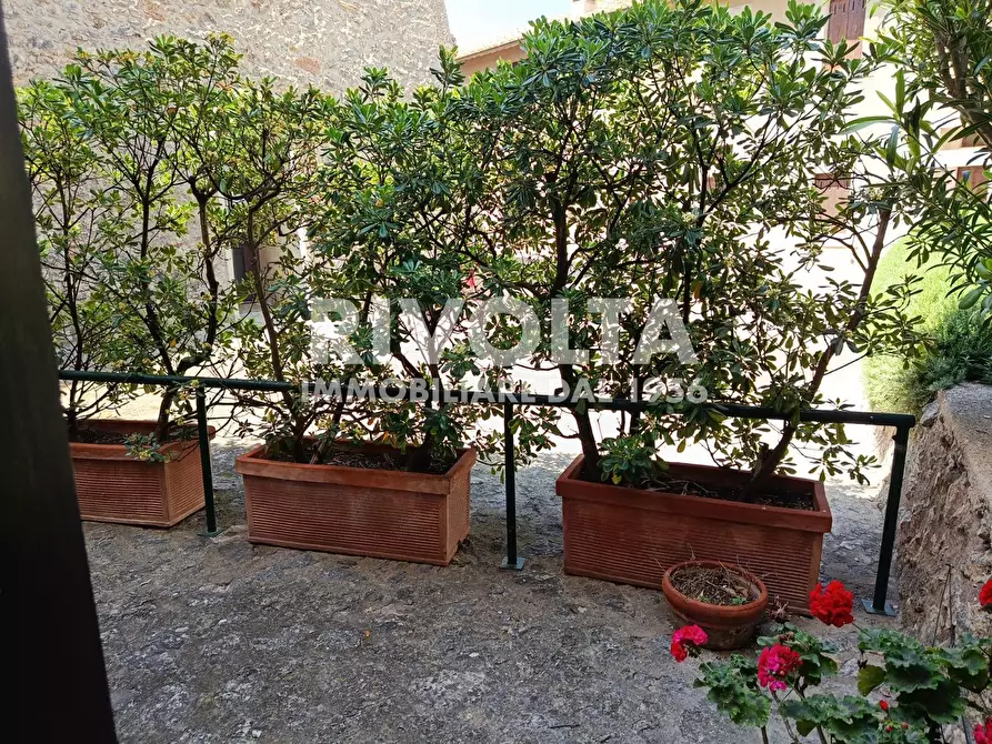 Immagine 5 di Appartamento in affitto  in scalinata della rocca . a Monte Argentario