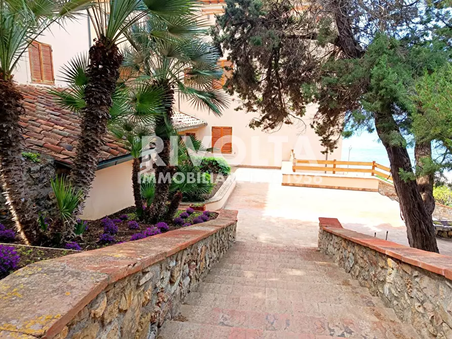 Immagine 3 di Appartamento in vendita  in località le cannelle a Monte Argentario