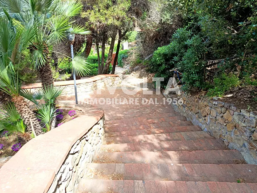 Immagine 4 di Appartamento in vendita  in località le cannelle a Monte Argentario