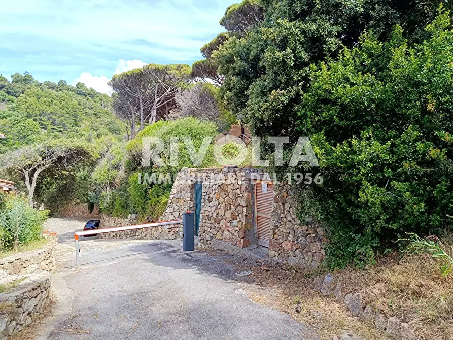 Immagine 2 di Appartamento in vendita  in località le cannelle a Monte Argentario