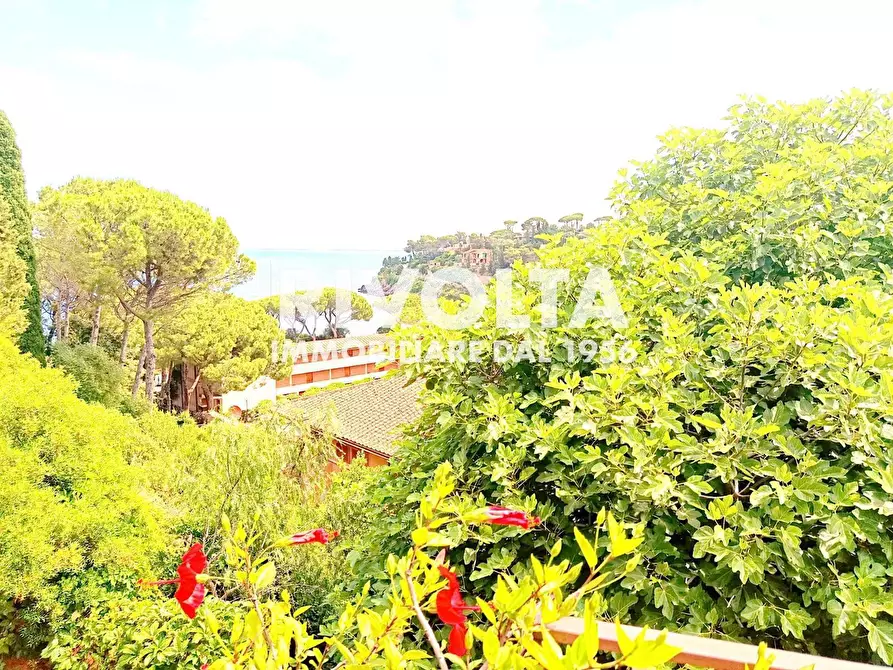 Immagine 5 di Appartamento in affitto  in Via Costa degli Ulivi a Monte Argentario