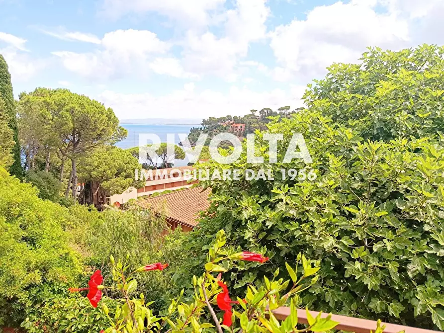 Immagine 2 di Appartamento in affitto  in Via Costa degli Ulivi a Monte Argentario