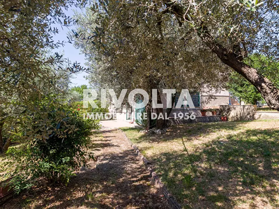Immagine 37 di Villa in vendita  in Via San Vito a Casperia