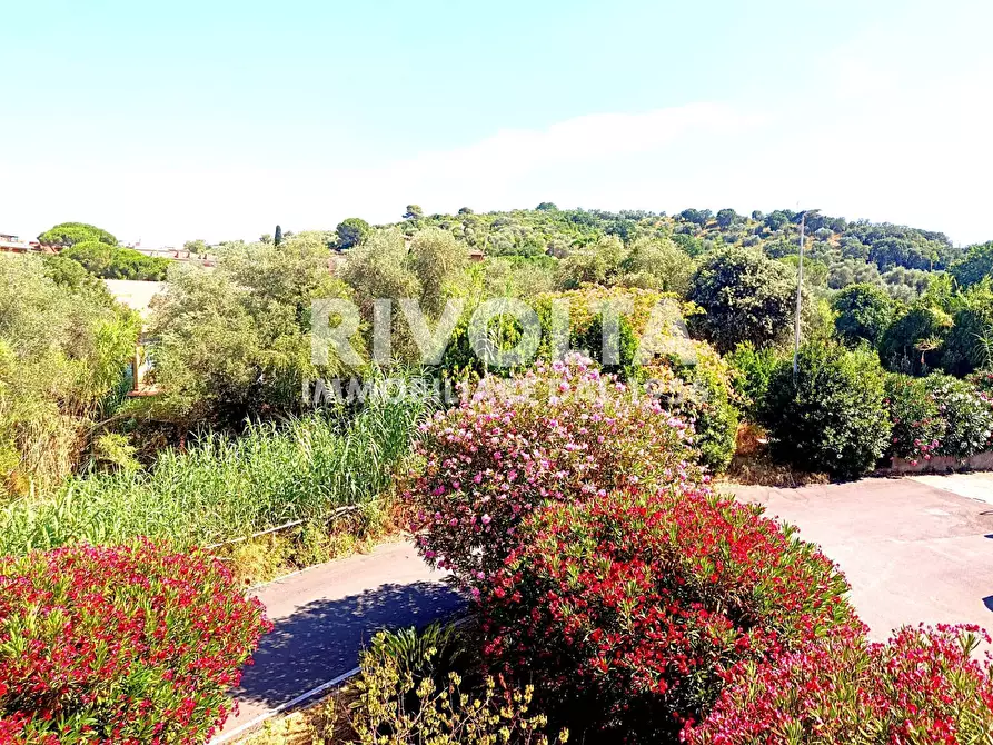 Immagine 18 di Appartamento in vendita  in Via dell'Ostro a Monte Argentario