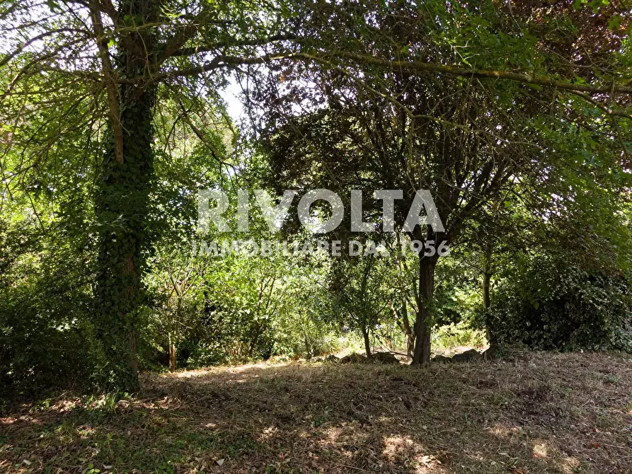 Immagine 7 di Villa in vendita  in san martino della quercia snc a Sutri
