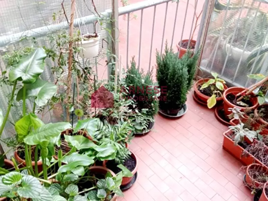 Immagine 14 di Appartamento in vendita  in Via Ferraris a Quiliano