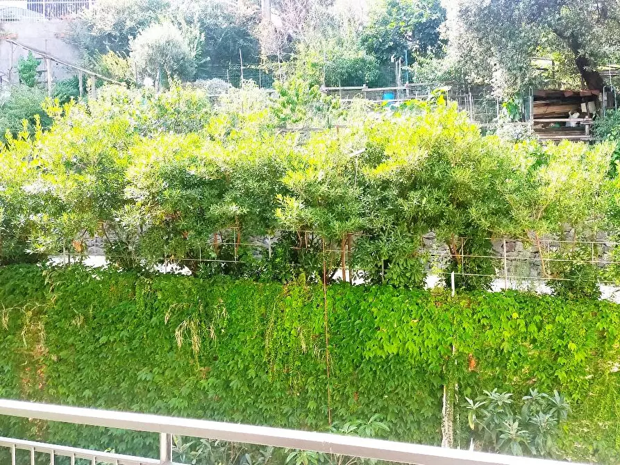 Immagine 26 di Appartamento in vendita  in Via Scotto a Savona