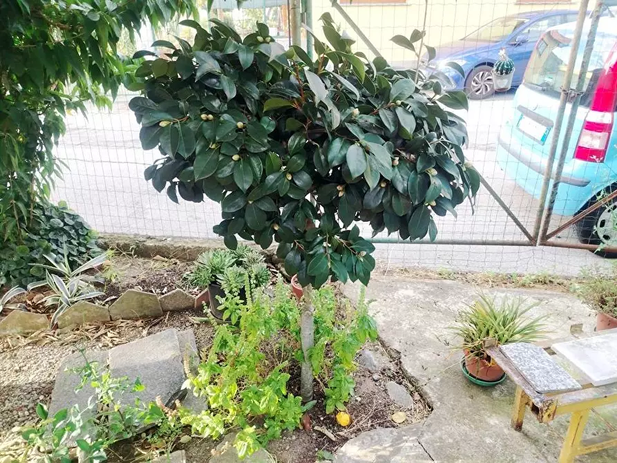 Immagine 6 di Villa in vendita  in Via dei Partigiani a Albisola Superiore