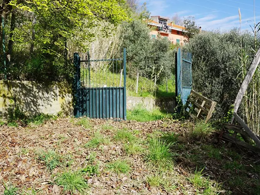 Immagine 1 di Terreno agricolo in vendita  in Via Montepino a Albisola Superiore