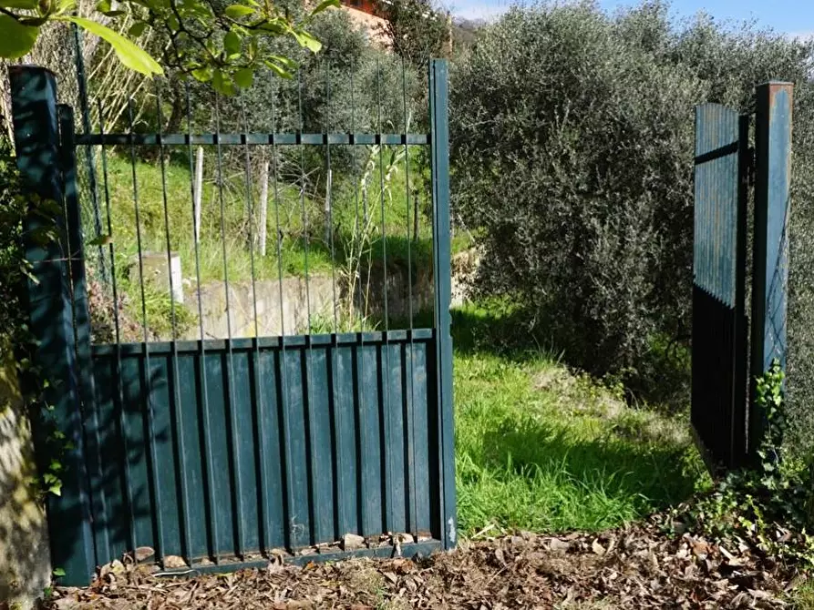 Immagine 2 di Terreno agricolo in vendita  in Via Montepino a Albisola Superiore