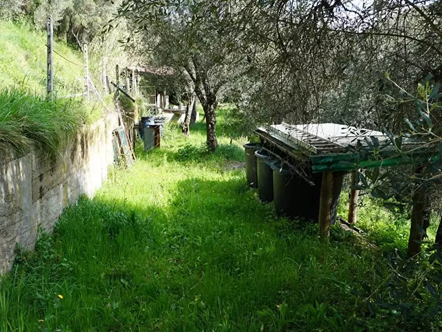 Immagine 3 di Terreno agricolo in vendita  in Via Montepino a Albisola Superiore