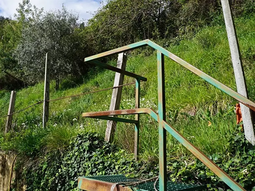Immagine 5 di Terreno agricolo in vendita  in Via Montepino a Albisola Superiore