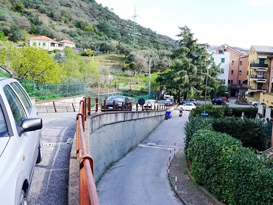 Immagine 6 di Terreno agricolo in vendita  in Via Montepino a Albisola Superiore